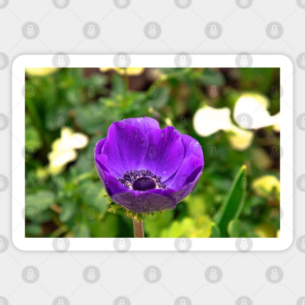 Purple Tulip Flower Amidst Greenery Sticker by SafariByMarisa